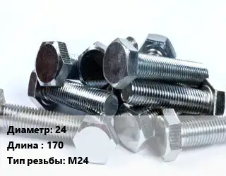 Болт 24х170 М24